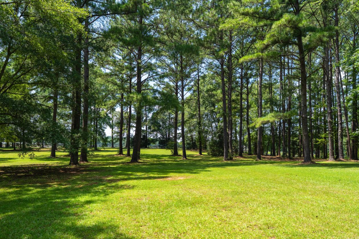 PRIVATE COUNTRY RETREAT! - photo 25