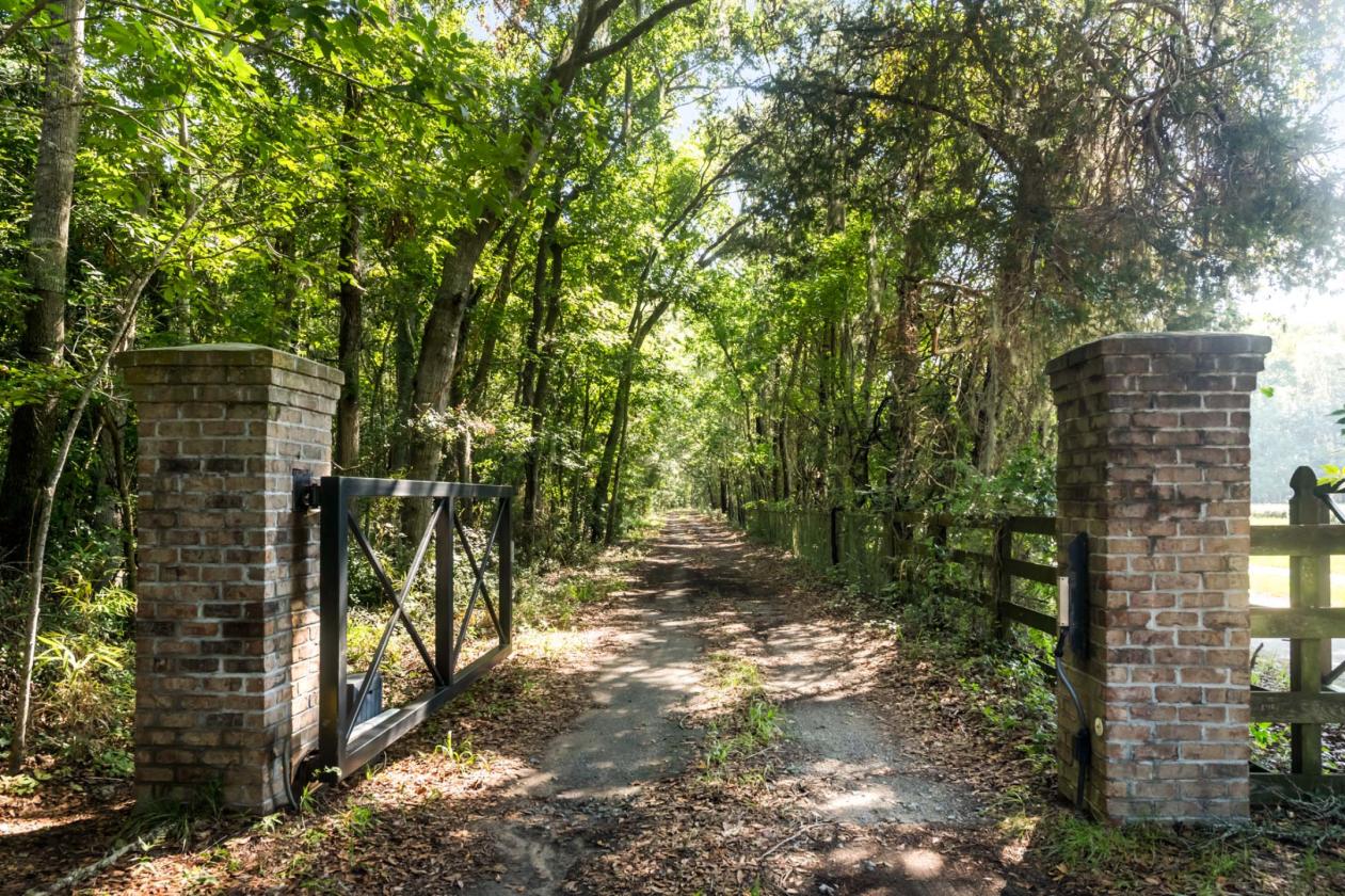 31 Acres with 4-Bedroom Raised Home - photo 4