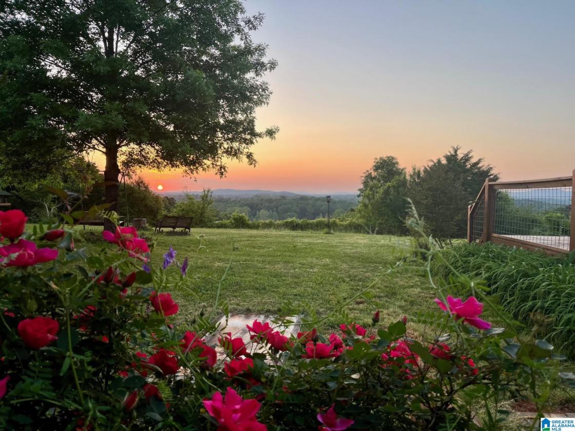 Equestrian Farm with Fantastic Mountain Views - photo 1