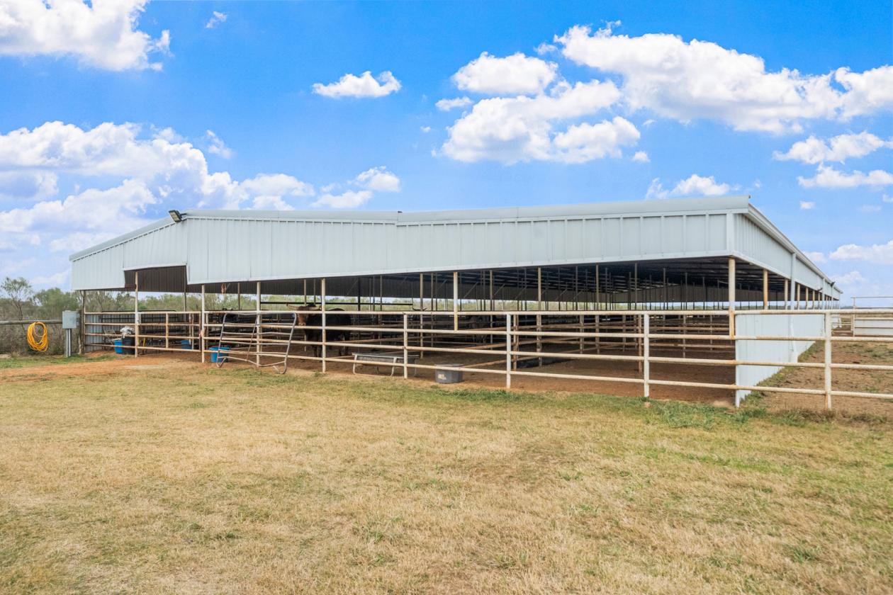 10 Acre Equestrian/Livestock Property - photo 11