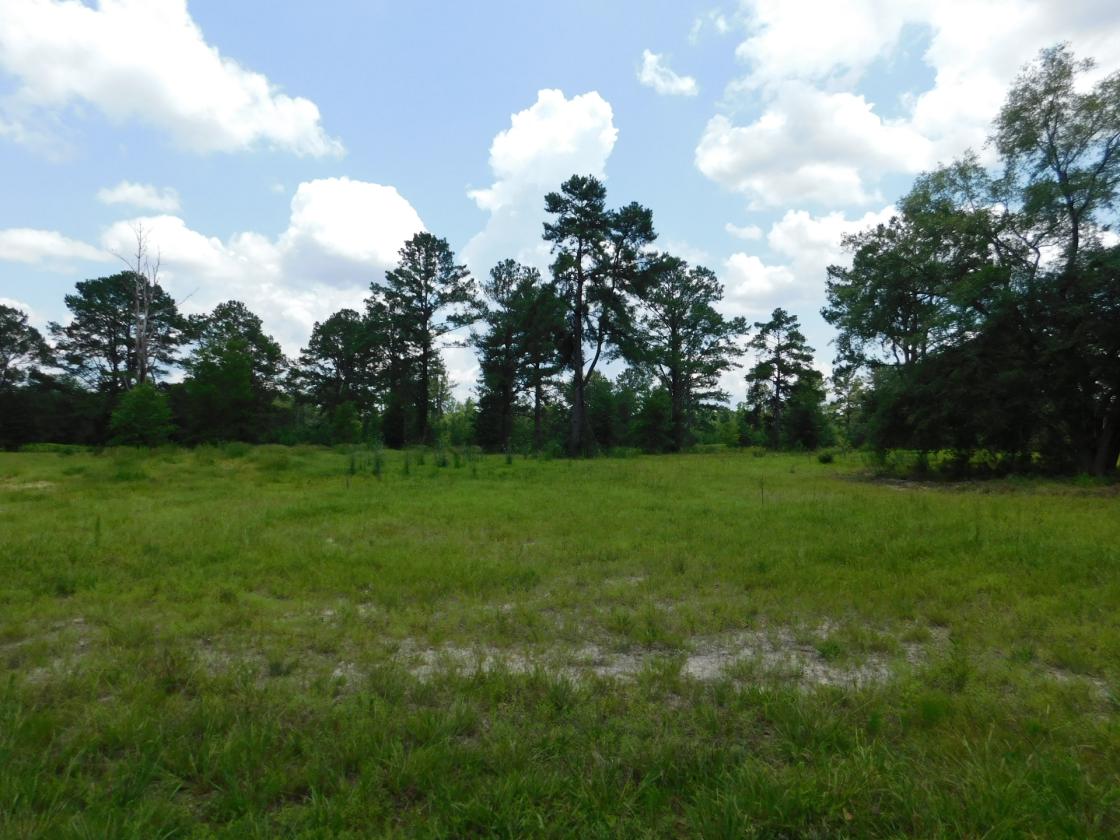 Lowcountry Paradise, waiting for your creativity - photo 12