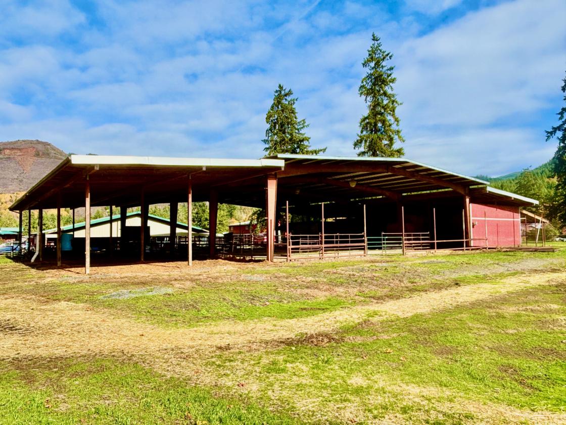 UNIQUE EQUESTRIAN AND ORGANIC FARM PROPERTY - photo 12