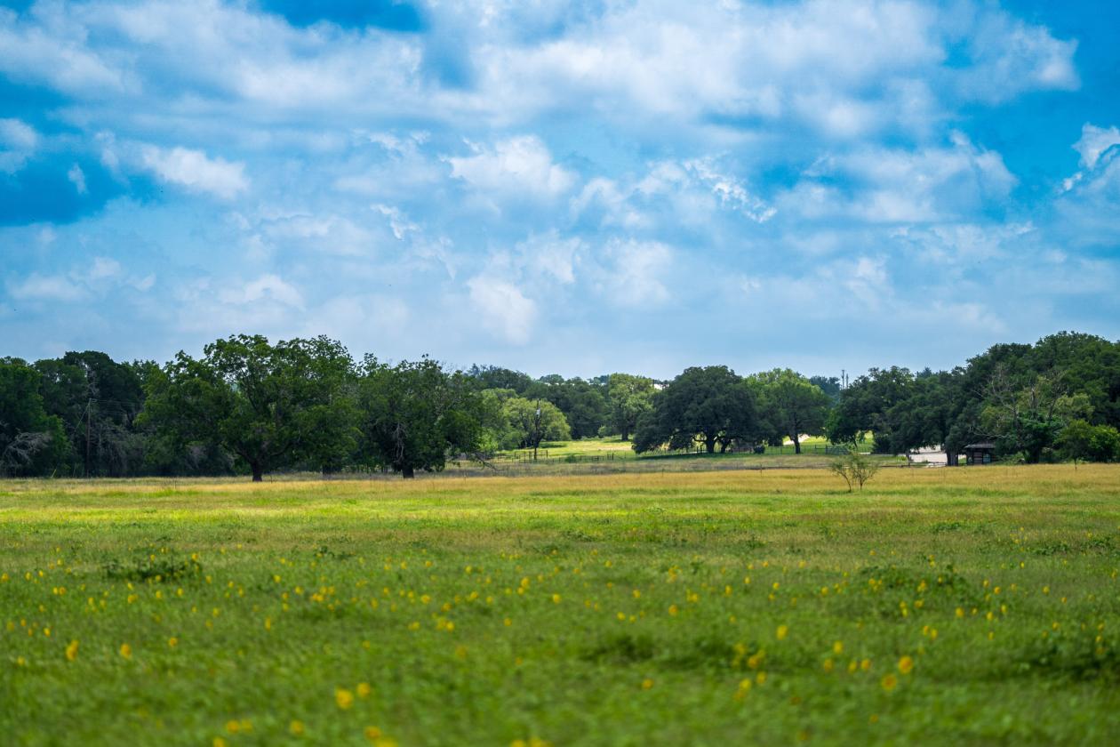 Equestrian Property On the Texas Wine Trail - photo 23