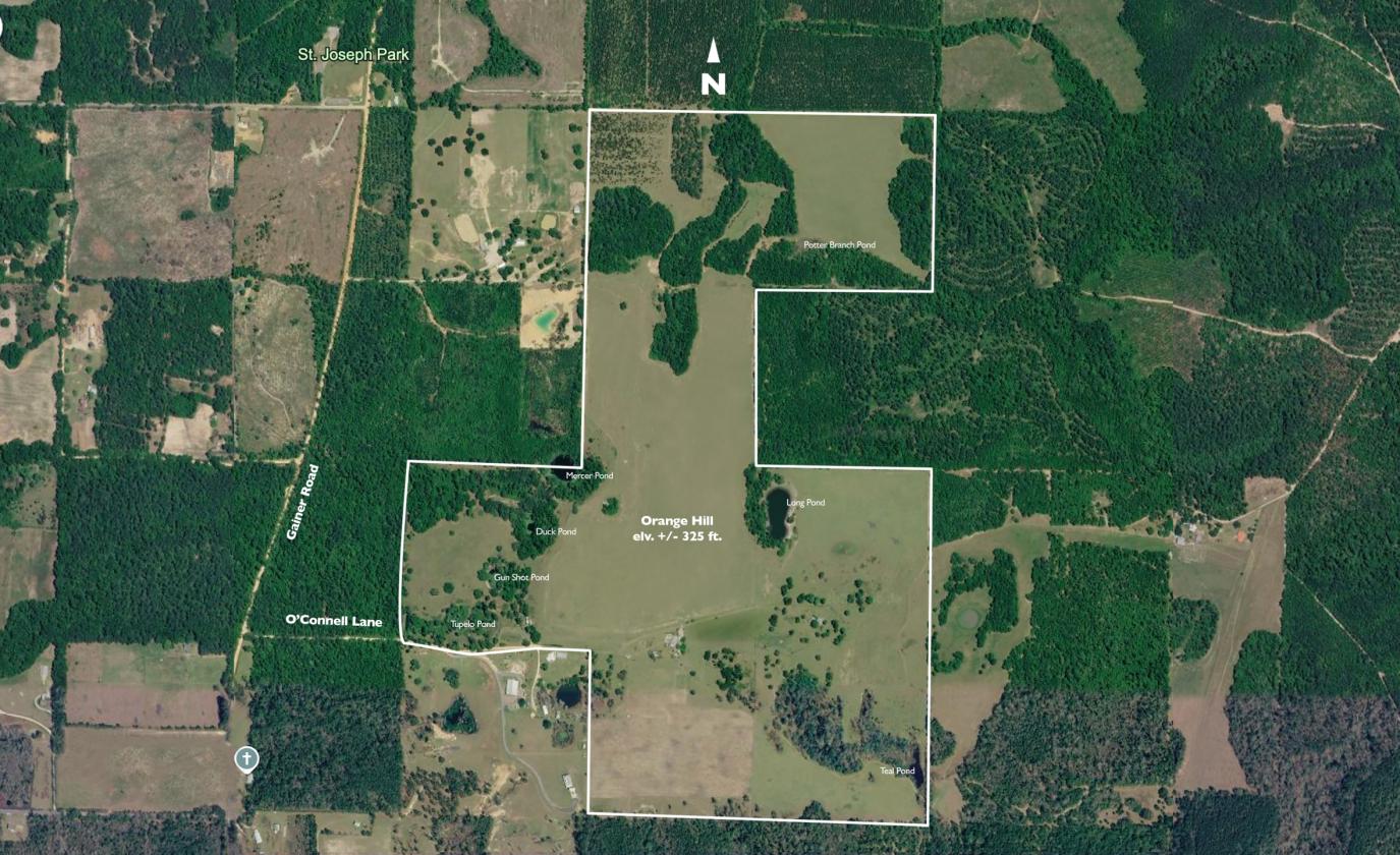 320 prime acres on HIckory Hill, Washington County - photo 2