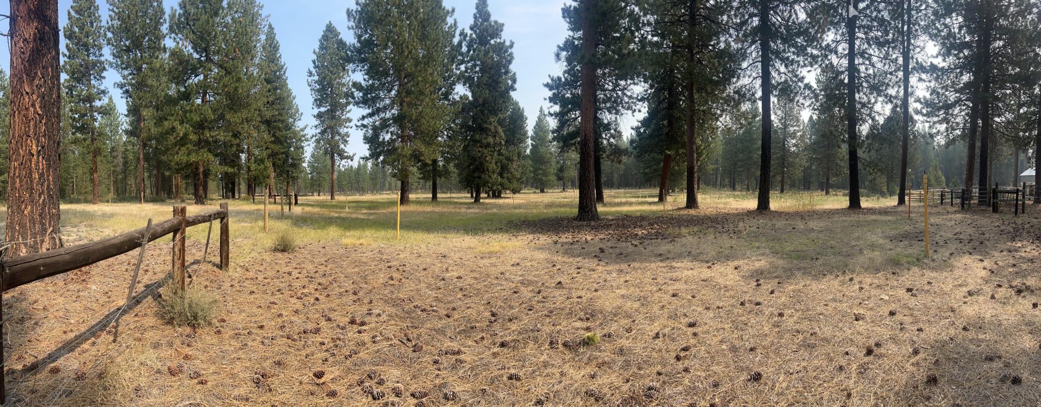 Build Your Dream Home In the Deschutes Forrest!