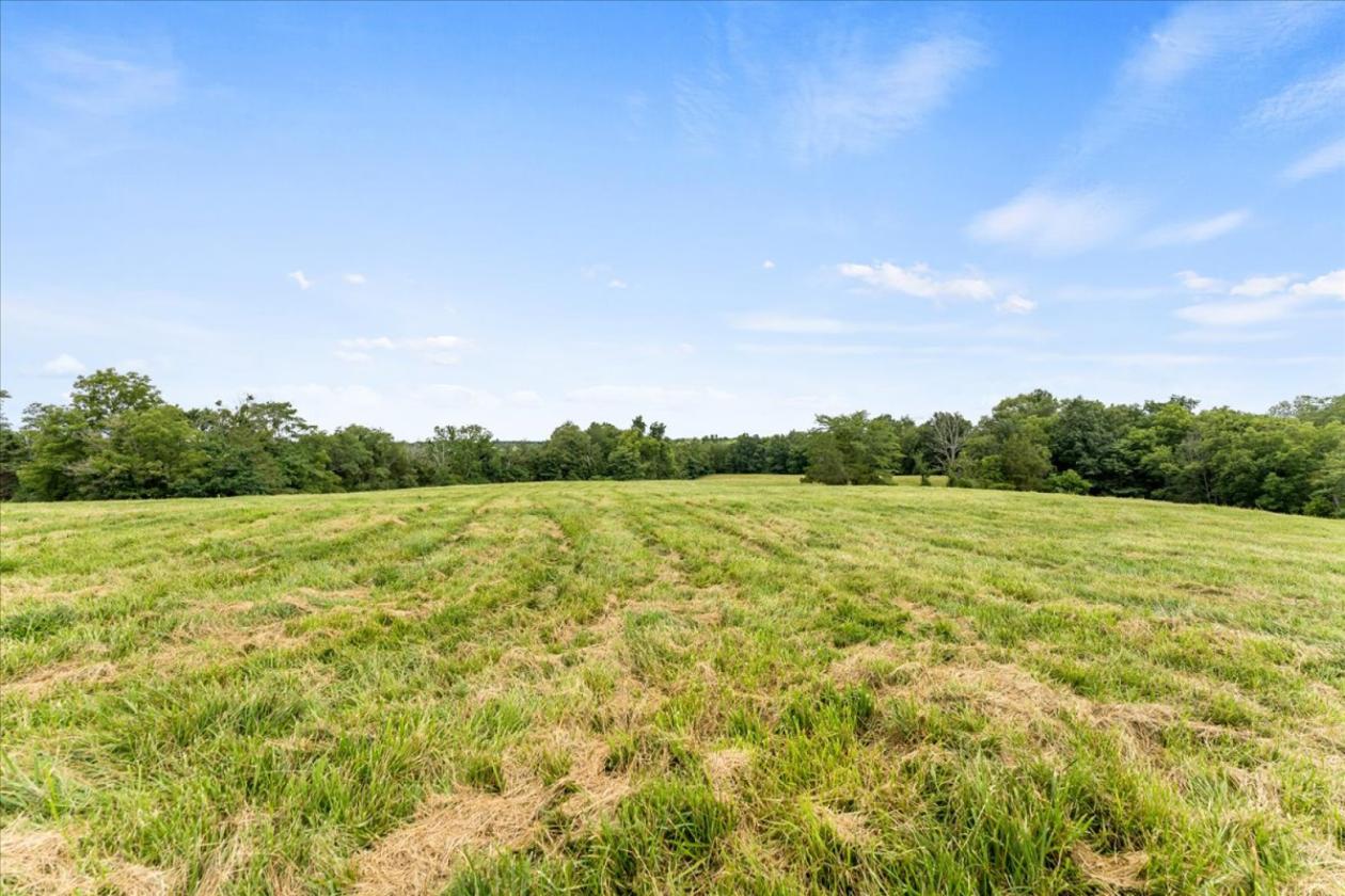 Over 173 acres for your equestrian dreams - photo 12