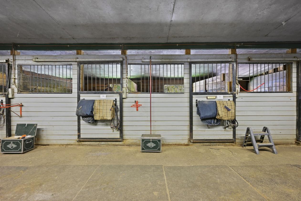 Silvermine Farm on 7 Acres Amazing Value - photo 19