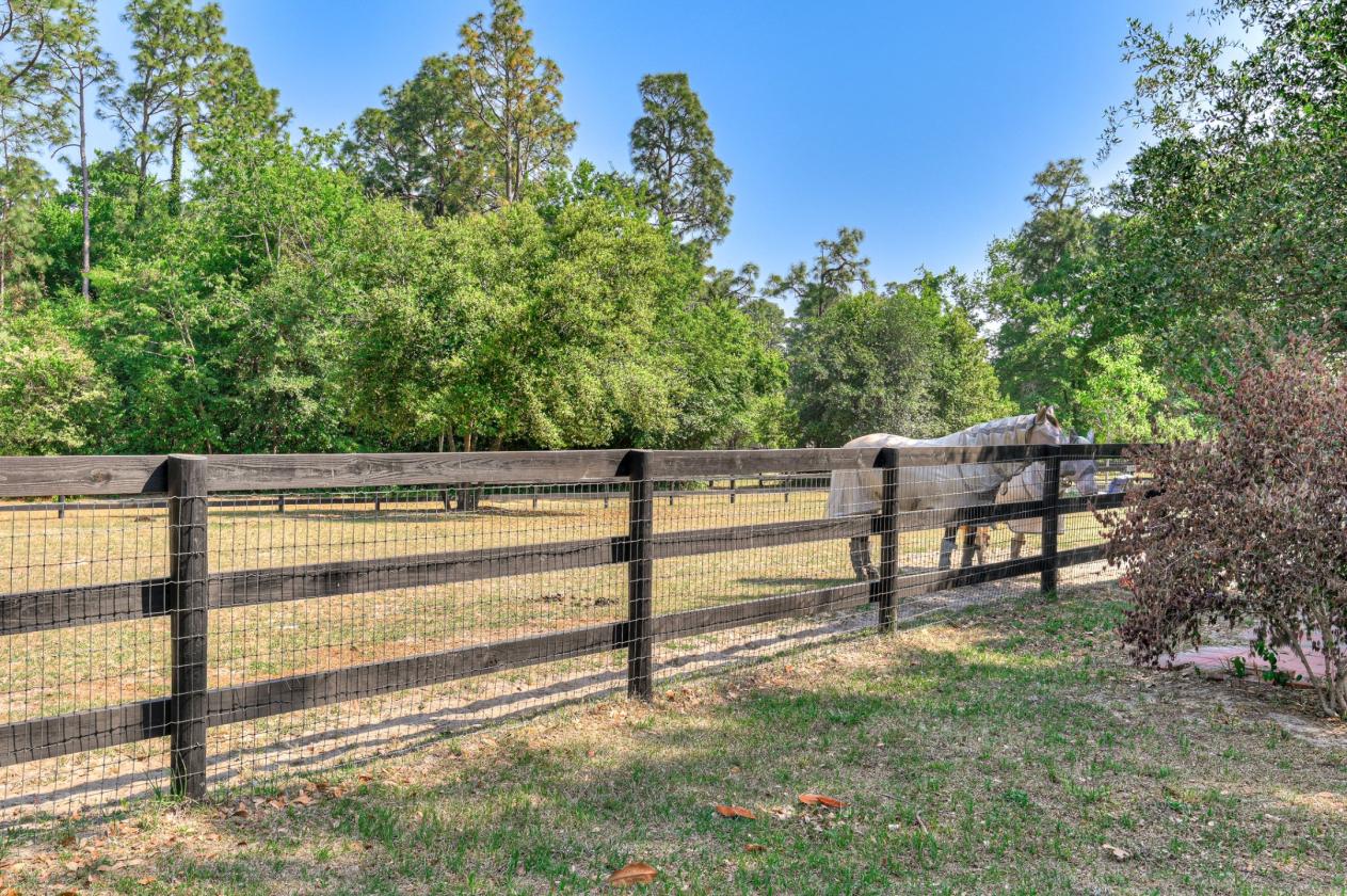 Foxchase Equestrian - photo 26
