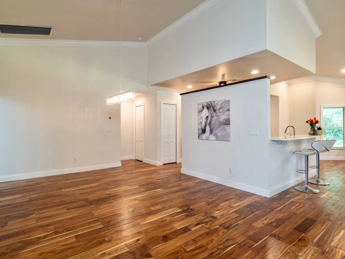 Buckingham Horse Farm Fort Myers, Lee County, Florida