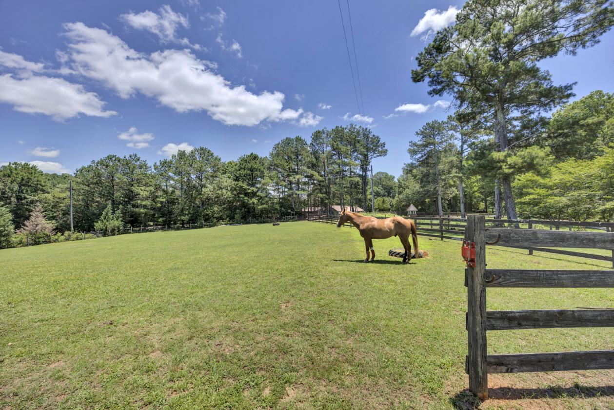 Exceptional 2.98 acre horse property with home - photo 3