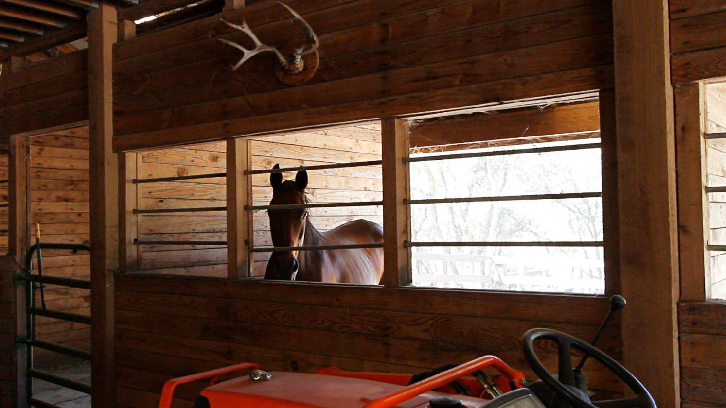 Granite Bay Ca, HiCaliber Ranch A Champions Legacy on... Granite Bay, Placer County