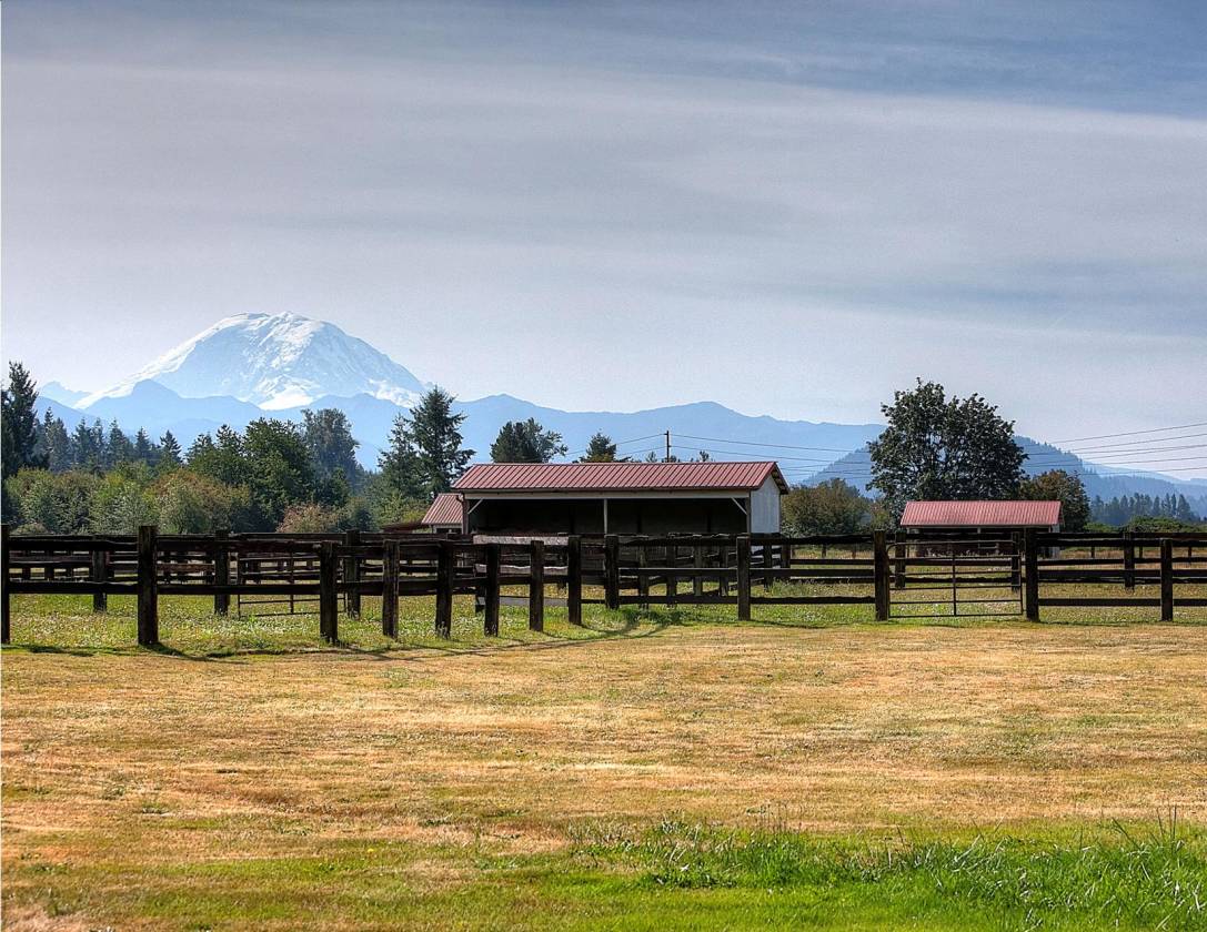 Exceptional Home on 33+ Ac. Equestrian Ranch w/an Amazing View
