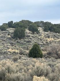 Property image.