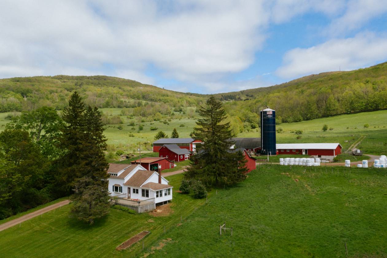 Horse Property for sale.