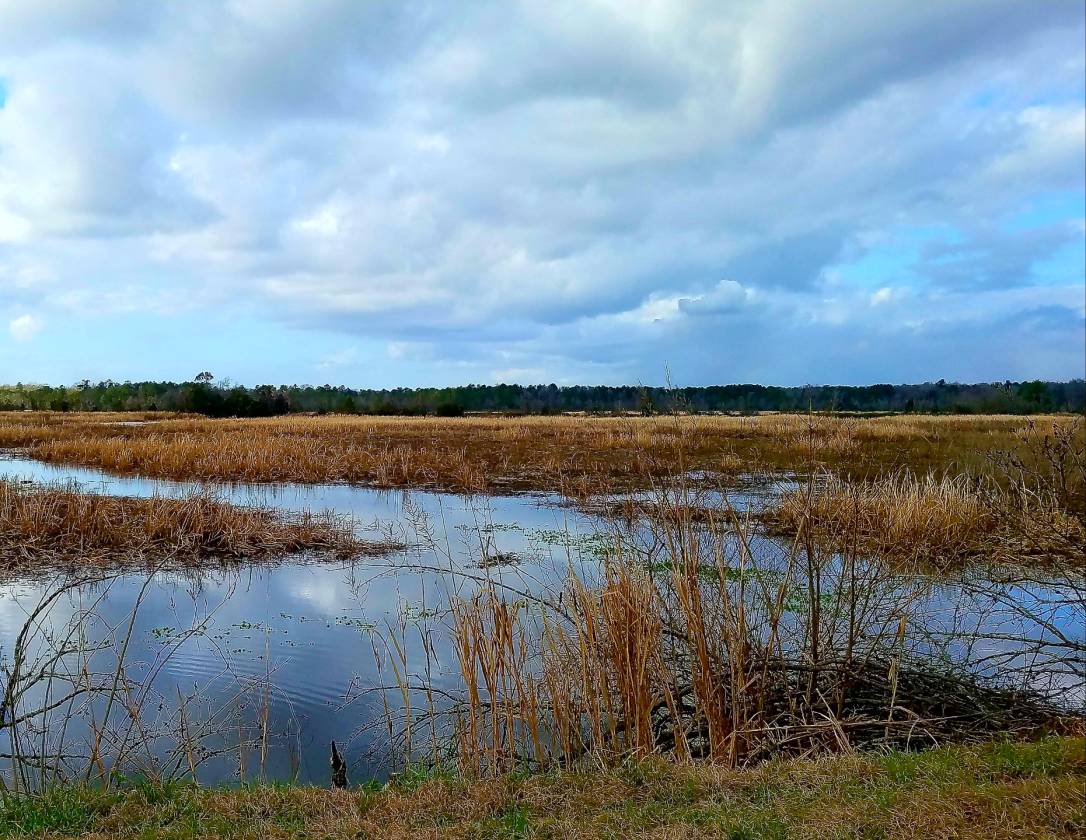 Historic equestrian estate near Charleston, South Carolina Huger