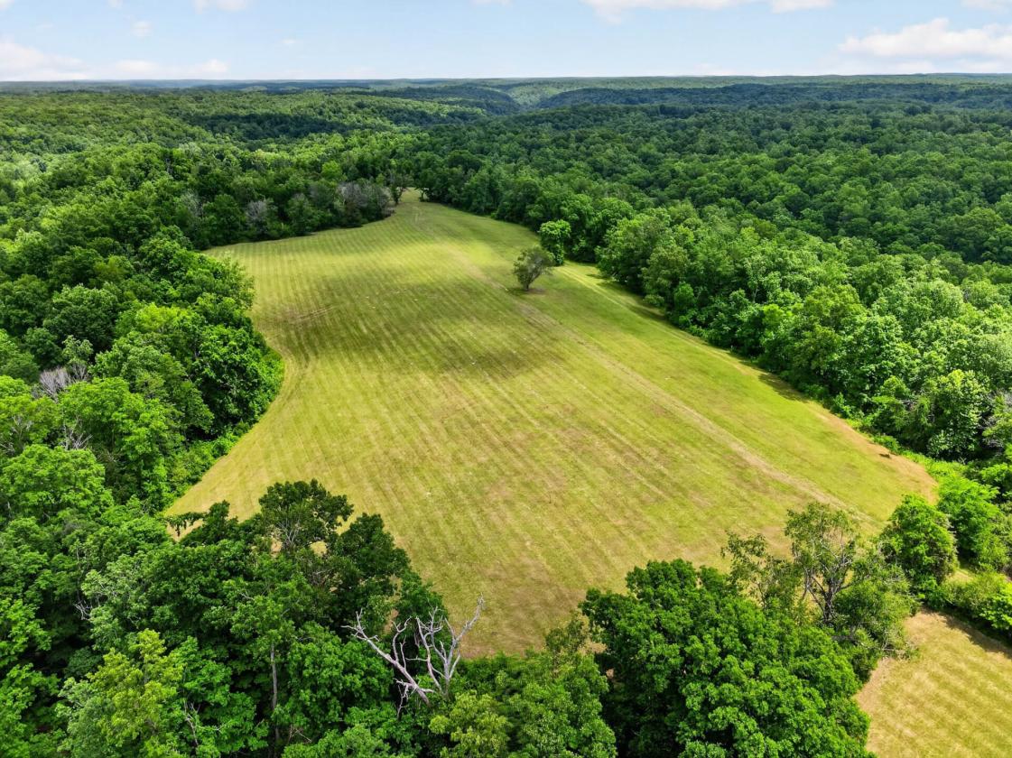 141 acres ready for your horse property - photo 3