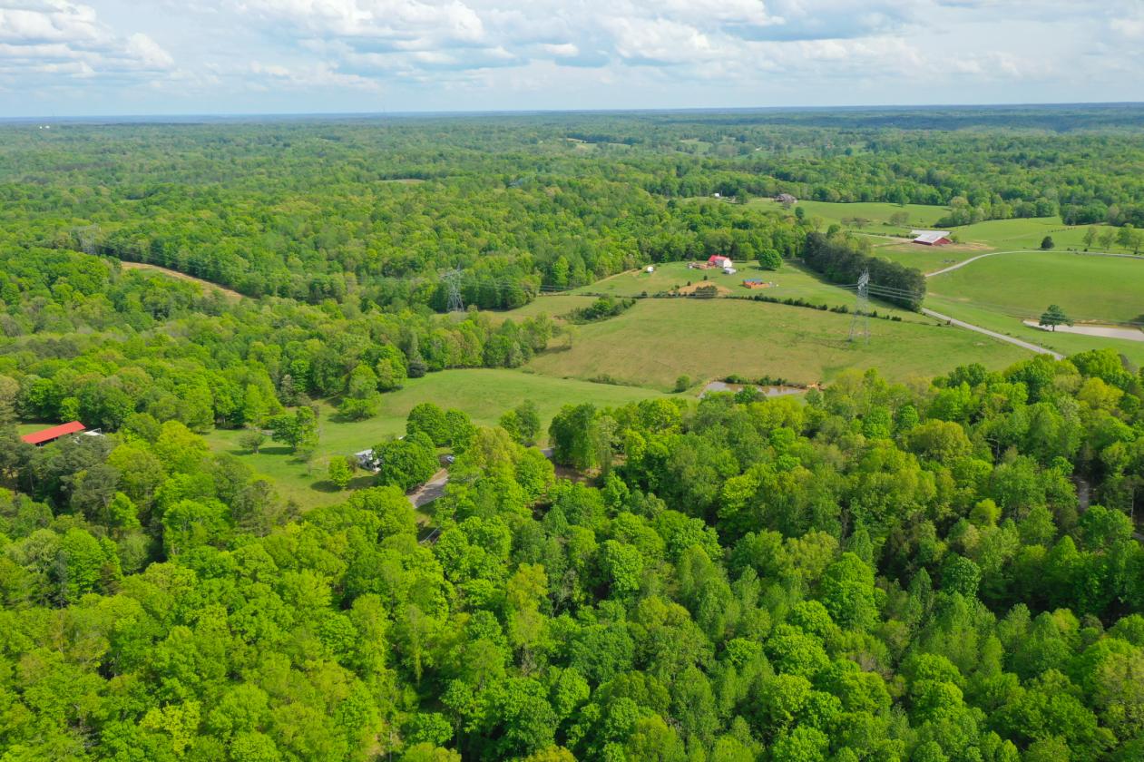 57 +/- Fenced Acreage - photo 20