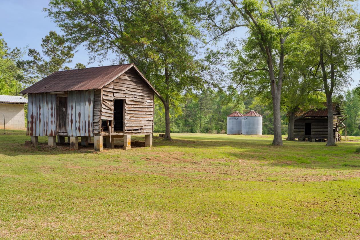 Piney Mount Farm - photo 8