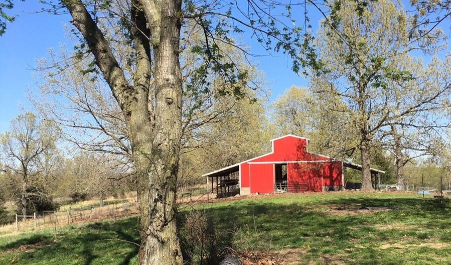 HORSE PROPERTY for sale with views! Salem, Fulton County