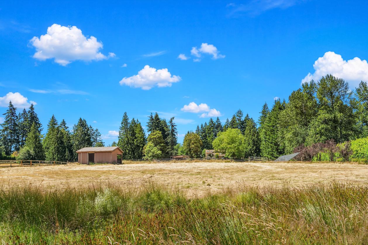 Home on Over 5 Acres with Barn, Shop and Pastures - photo 28