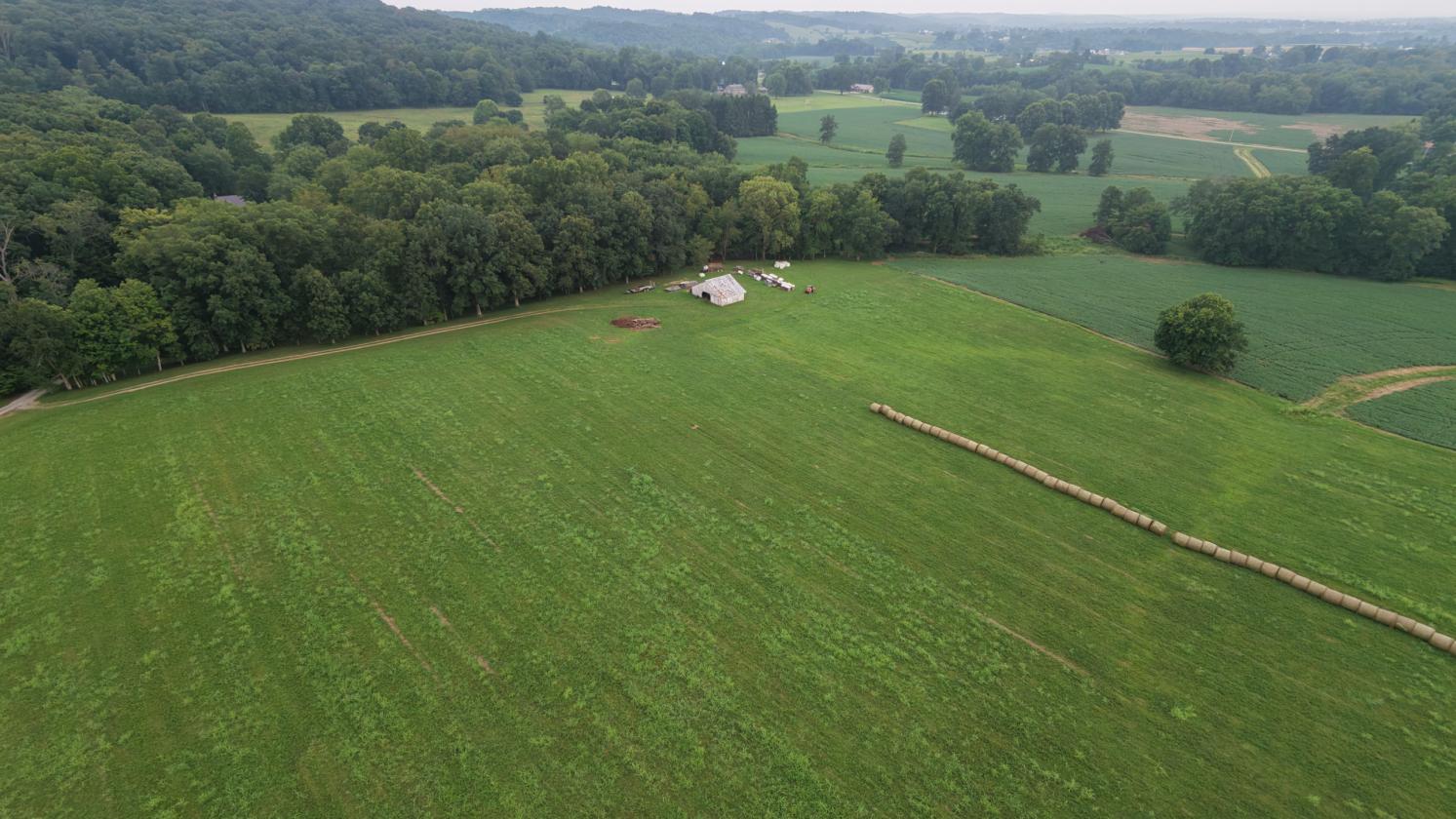 31 LEVEL ACRES w/HOME, BARN, 4 CAR GARAGE - photo 11