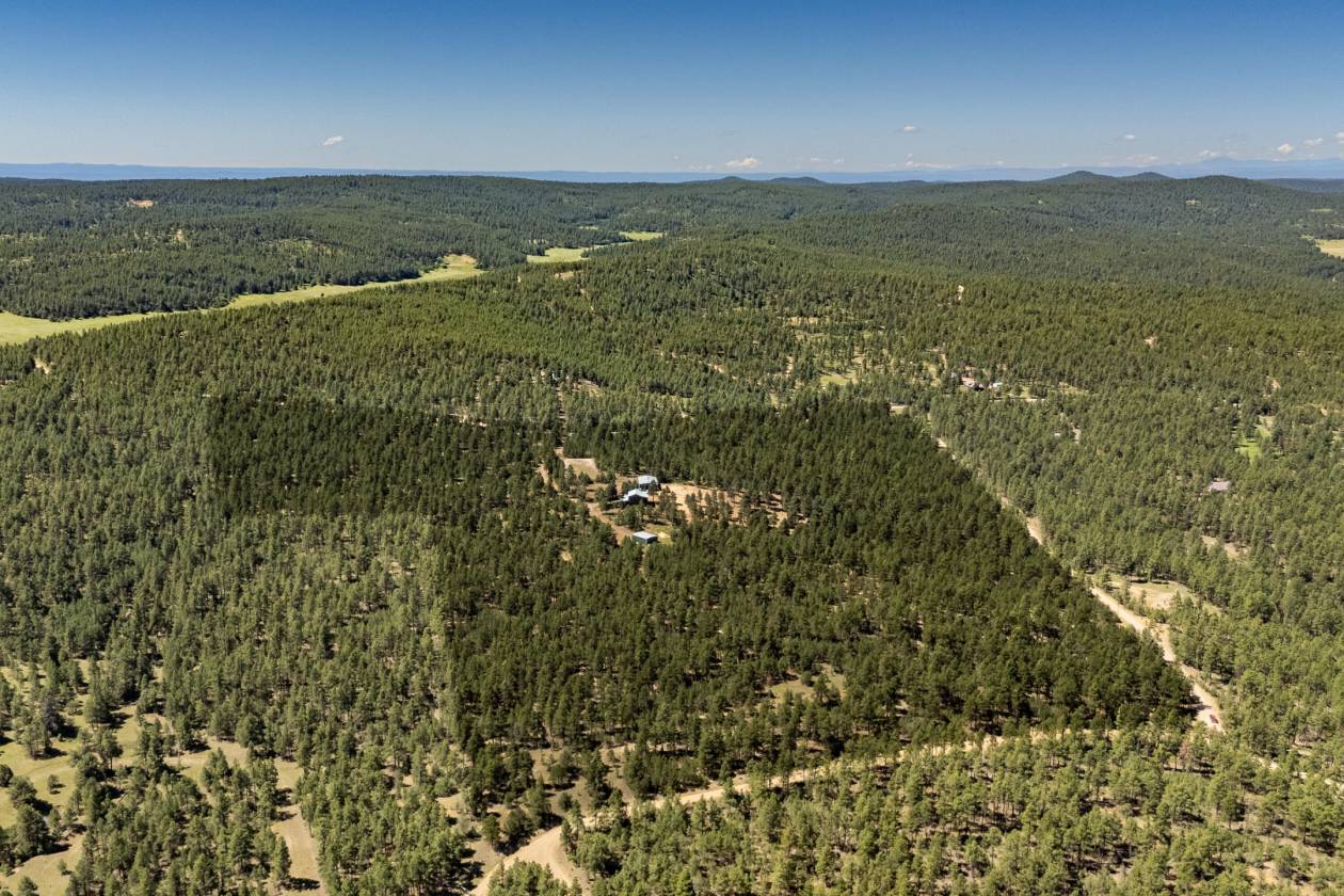 Horse Property for sale.