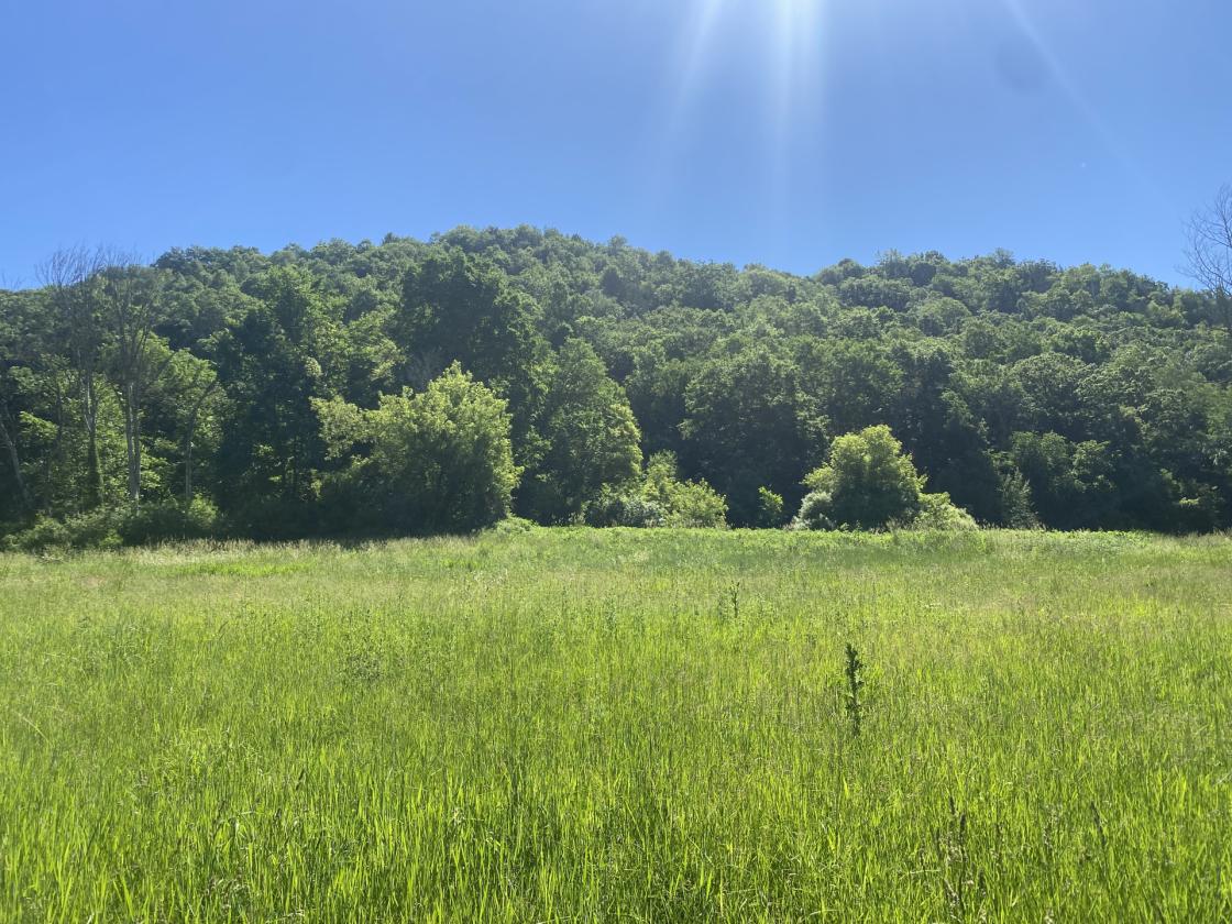 Deep River Farm - photo 28