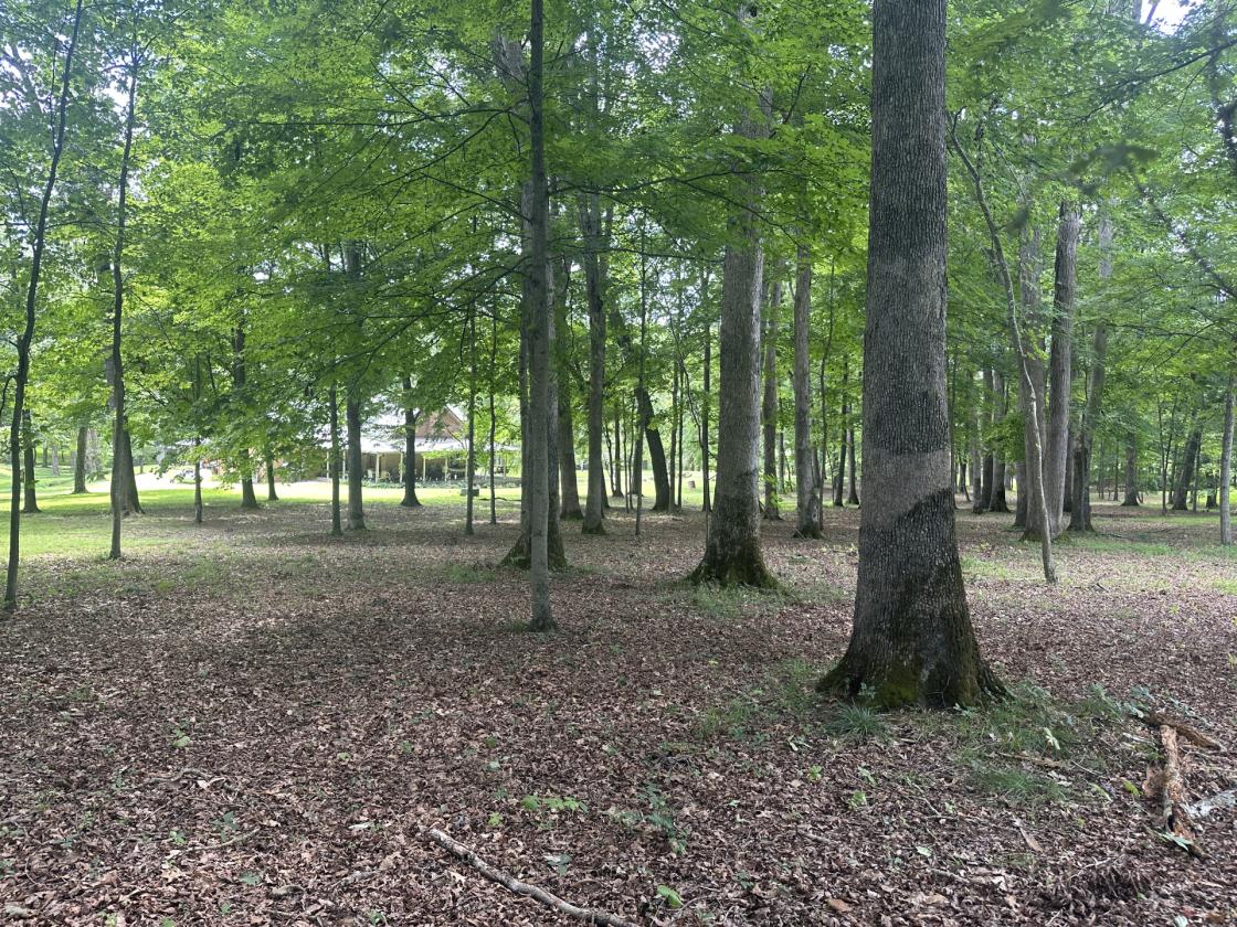 31 LEVEL ACRES w/HOME, BARN, 4 CAR GARAGE - photo 17