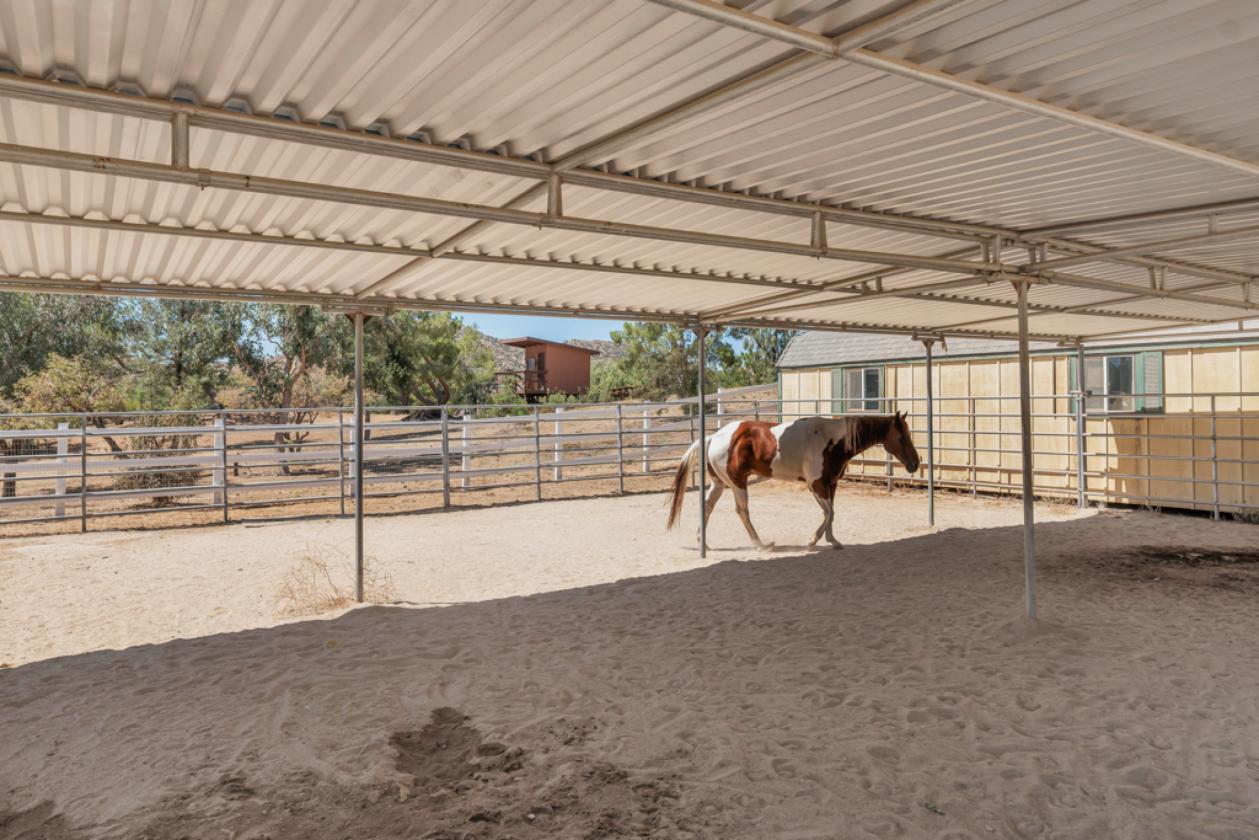 Agua Dulce Horse Property w/ Barn, Arena & Garage - photo 1