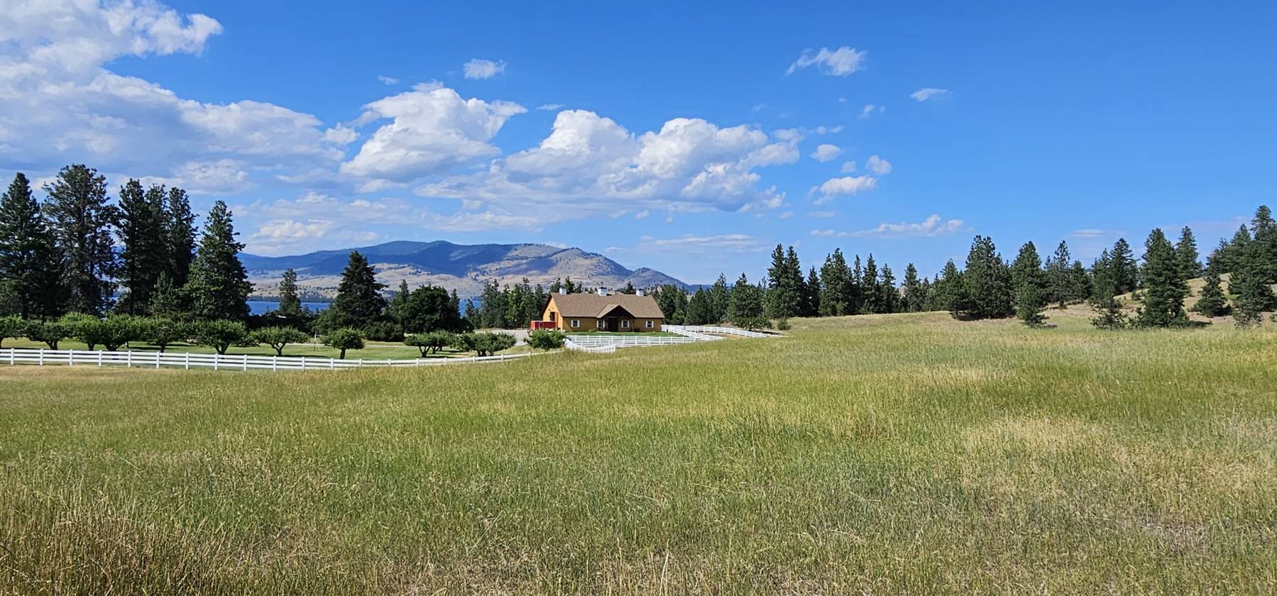 Amazing Equestrian and Orchard Property - photo 4