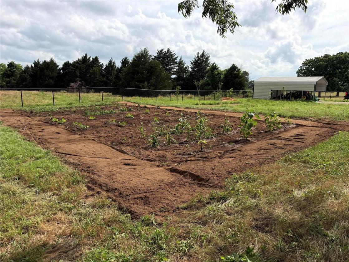 11 Acres of Pecan Trees - photo 24