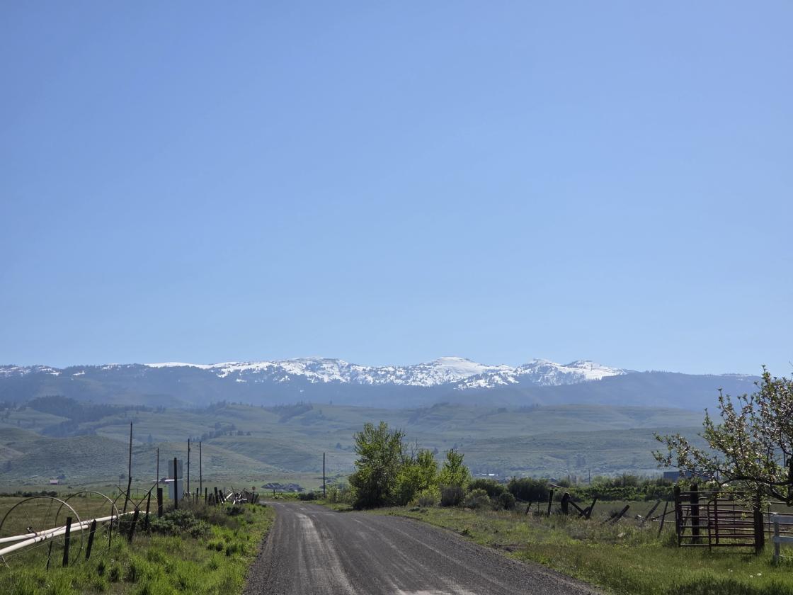 Exceptional 230± Acre Ranch - photo 25