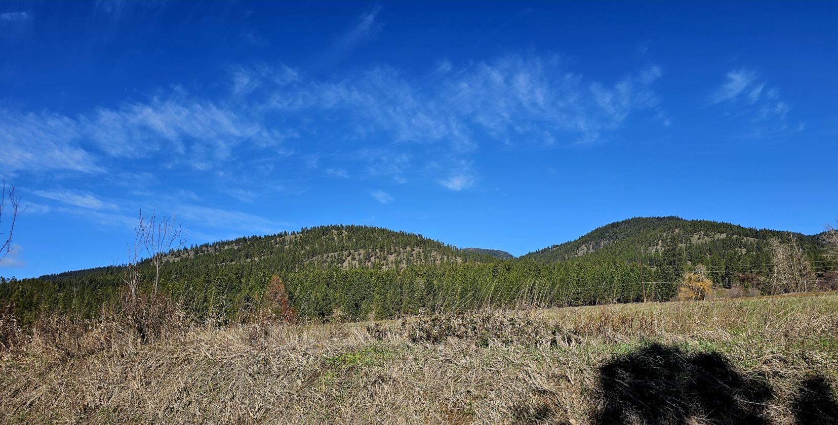 Gorgeous 63 Acres - photo 9