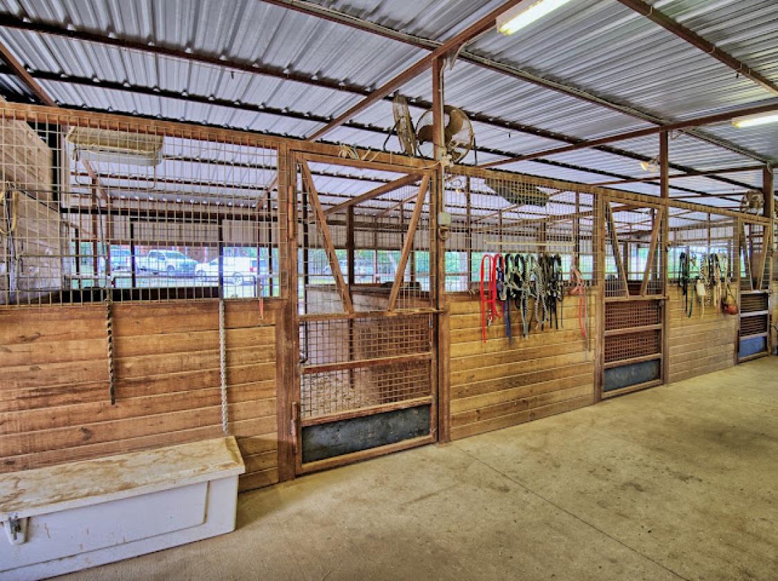 Horse Property in the North Texas Countryside - photo 12