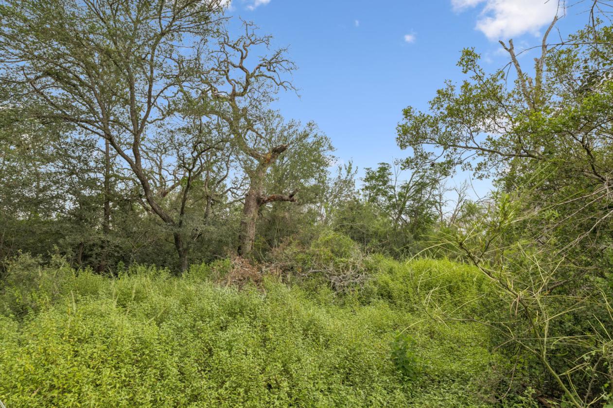 17.43 acres near Saint Hedwig - photo 11