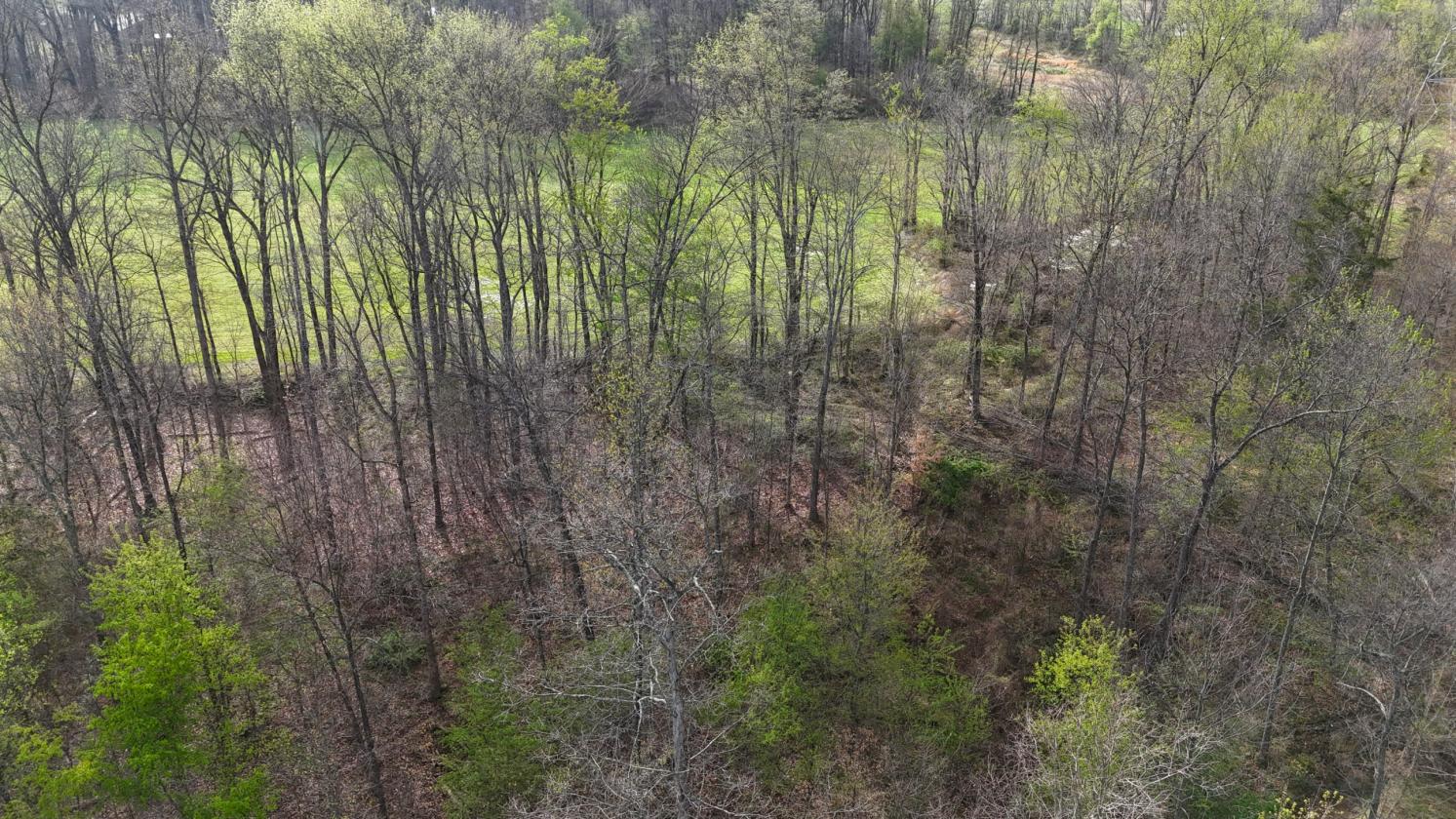 Excellent Acreage For Future Equestrian Property - photo 15