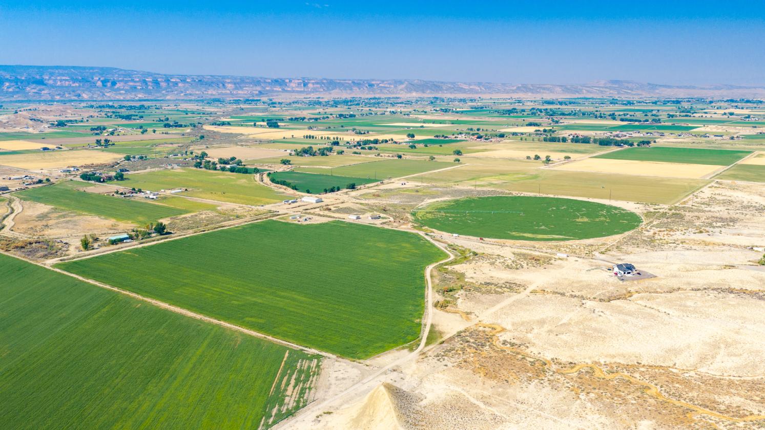 Wide Open Spaces with Irrigated Acerage - photo 1