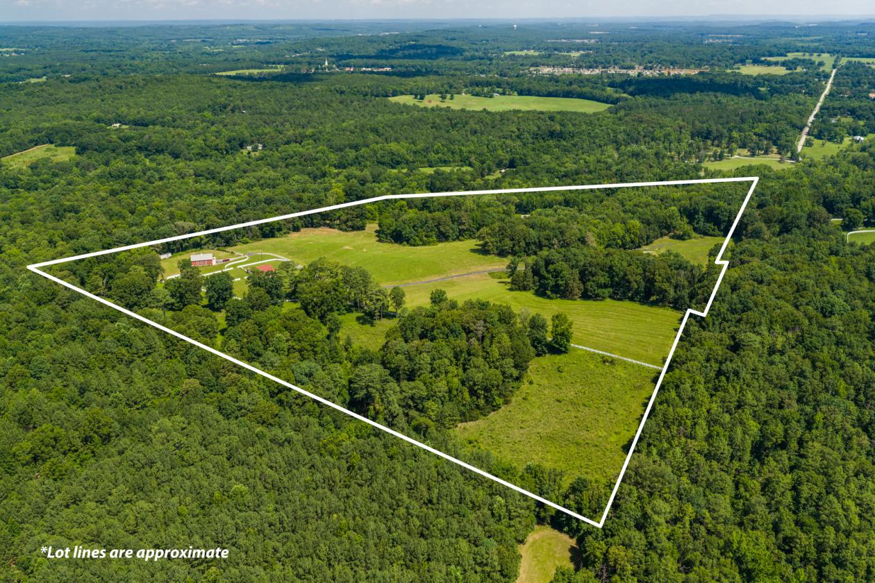 58± Acres with Spectacular Views, Pond & Barn - photo 2