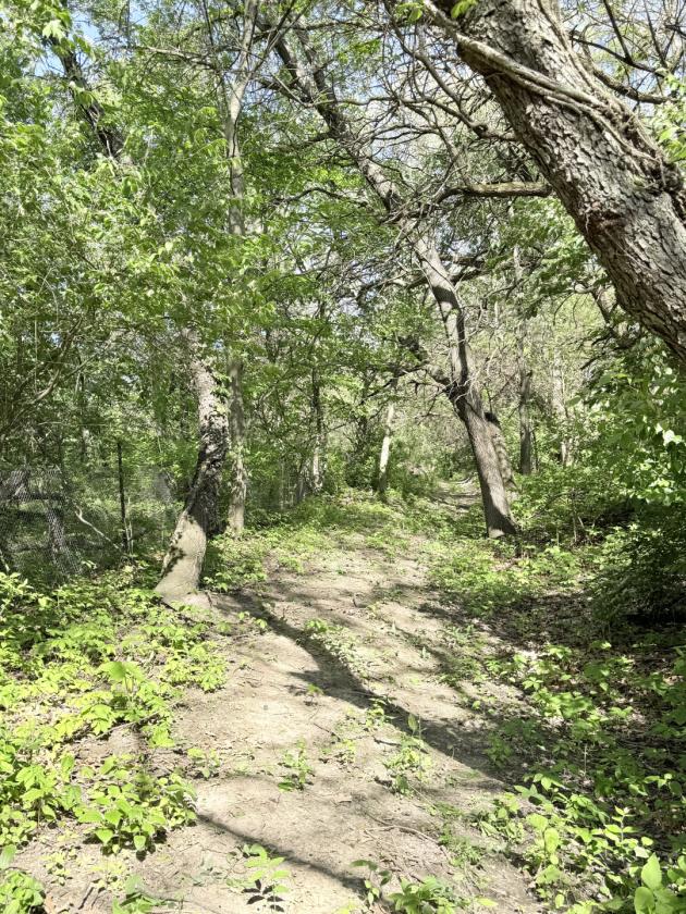 Life Without Compromise 21+ Acres with Proximity - photo 29