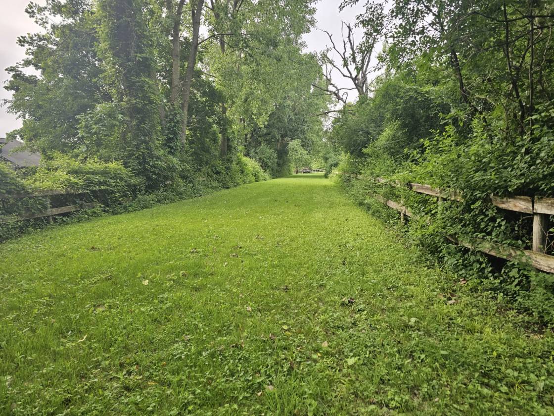 Exceptional 15-Acre Equestrian Facility! - photo 28