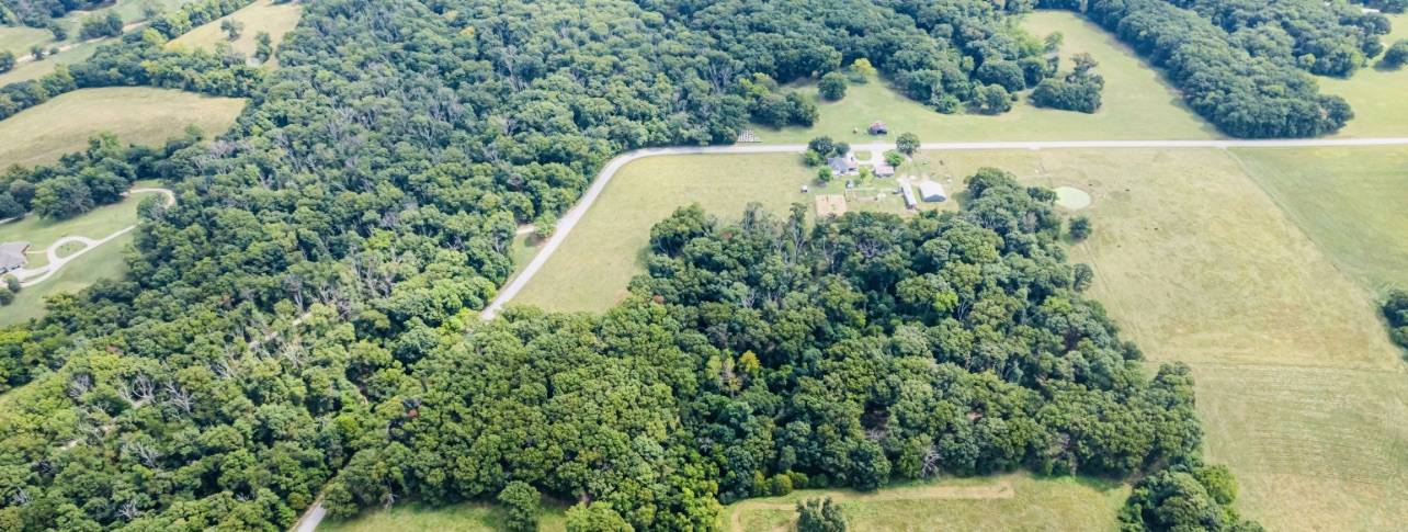 206 beautiful mostly level land - photo 14