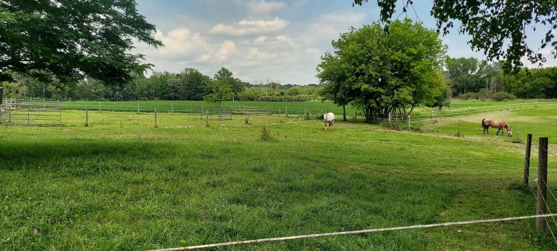 Horse Property with Home, Barn, Arena & Pasture - photo 16