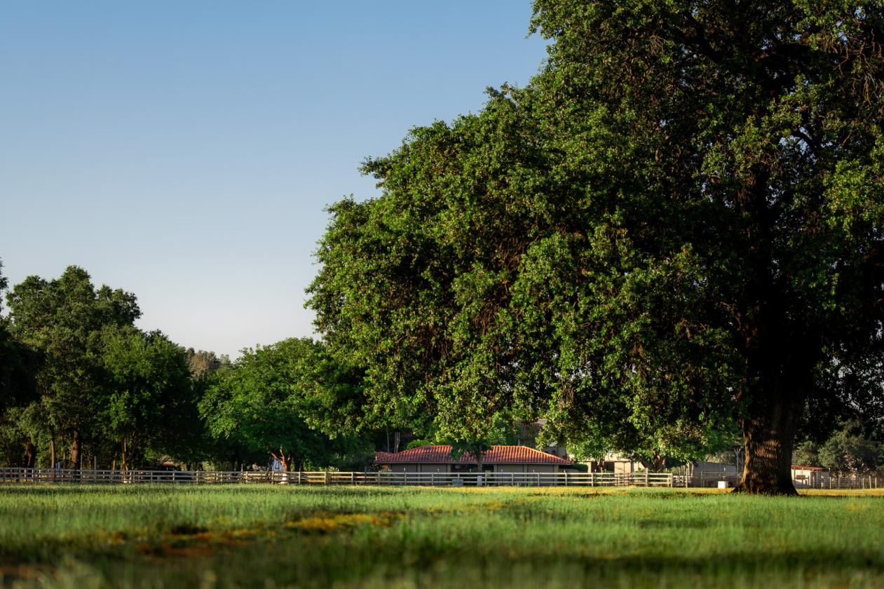 Well | Green Pastures | Barns | Arena |Gated |Oaks - photo 28