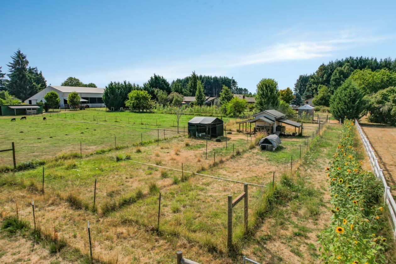 The Ultimate Horse Property with Indoor Arena - photo 18