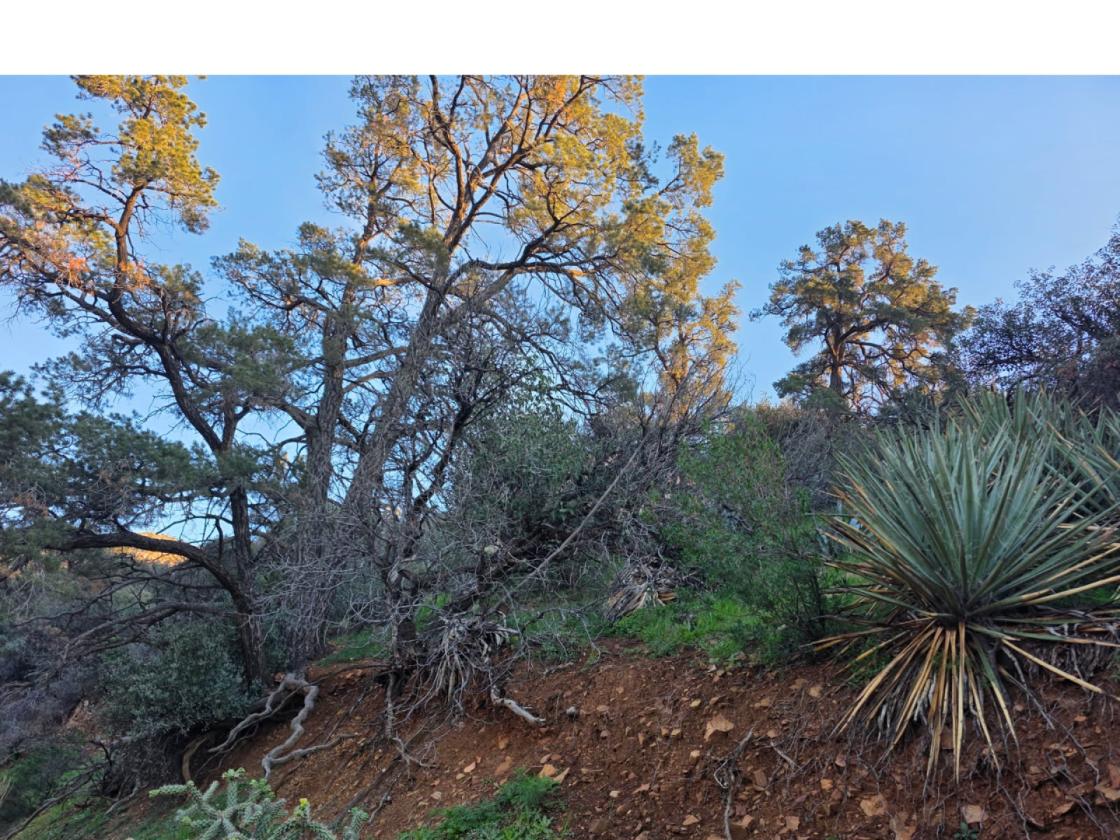 642 Acres El Capitan Canyon Ranch - photo 4