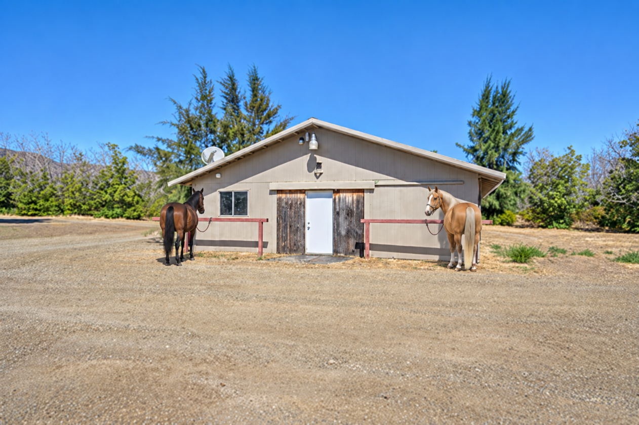 25-Acre Country Home & Horse Property - photo 4