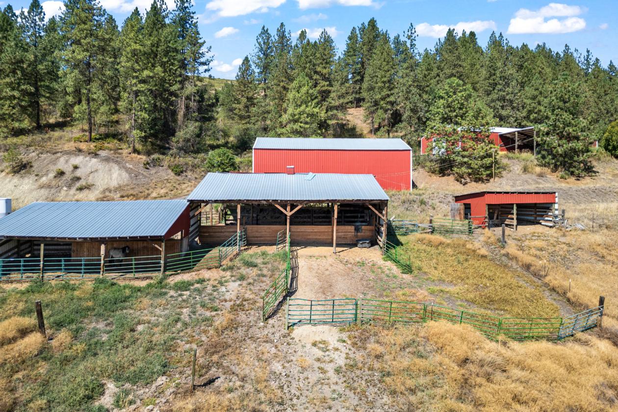 39 acre equestrian property!!! - photo 10