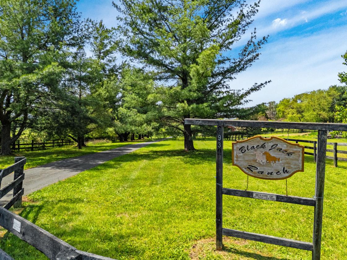 Black Jack Farm - photo 8