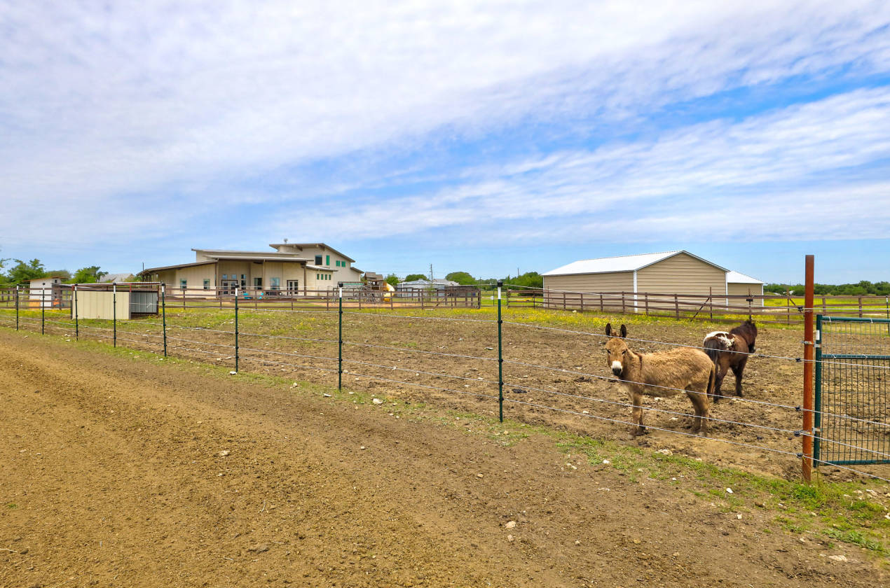 Horse Lover's Dream, minutes from shopping! Riding Arena, Large 3