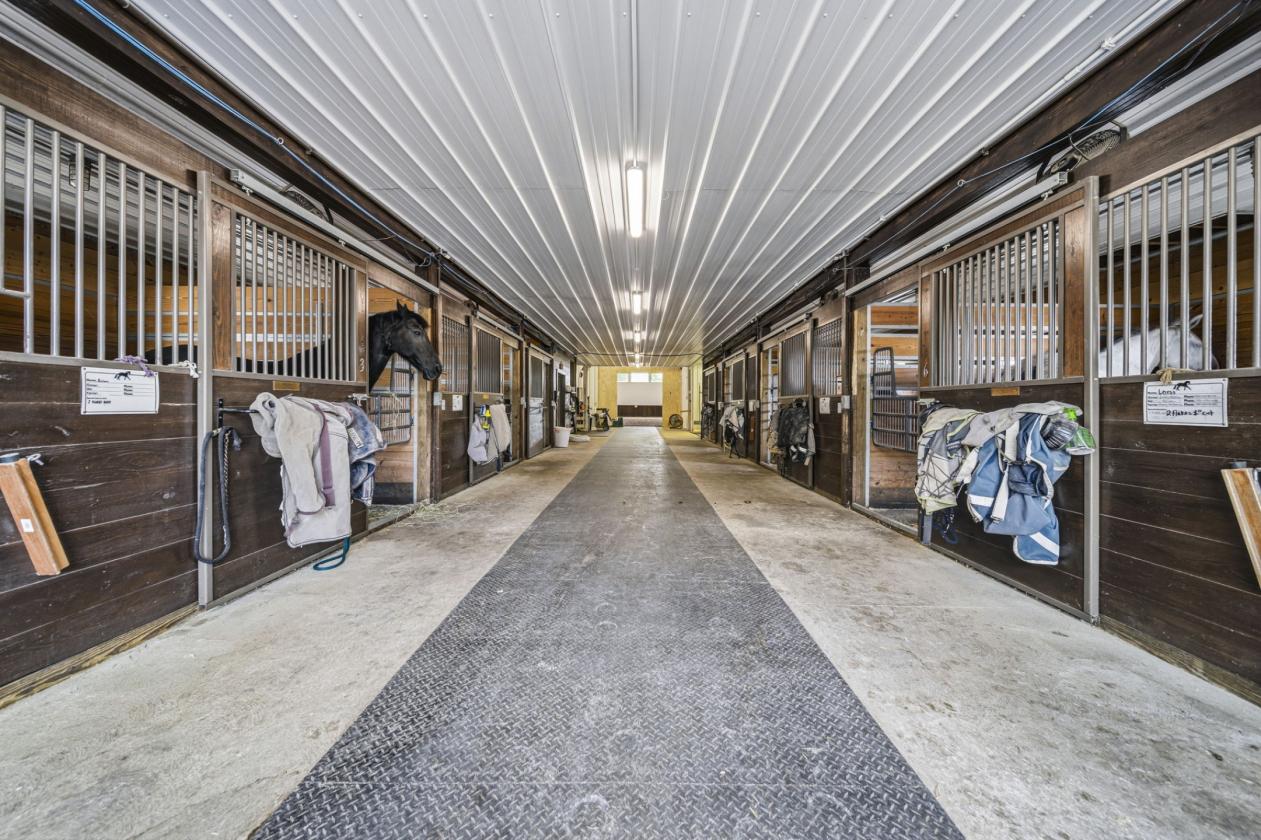 Meadow Creek Ranch Premier  Equestrian Estate - photo 5